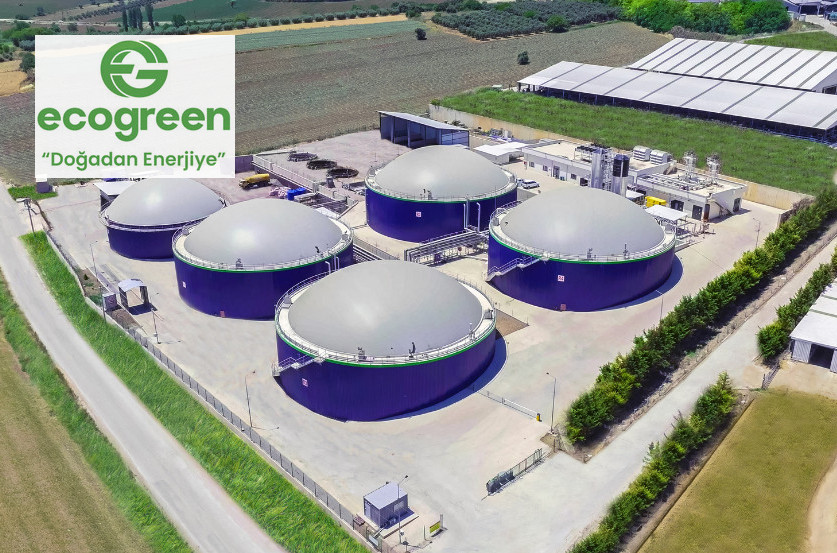 Ecogreen Enerji Halka Arz Takvimi